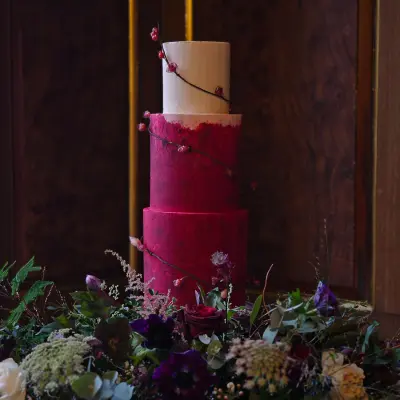 Deep red textured 3 tier wedding cake with glass effect rose bud vine Gosfield Hall, Esses